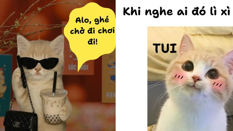 Hình ảnh meme lì xì hài hước 2