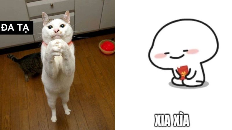 Ảnh meme cám ơn vì đã lì xì hài hước 4