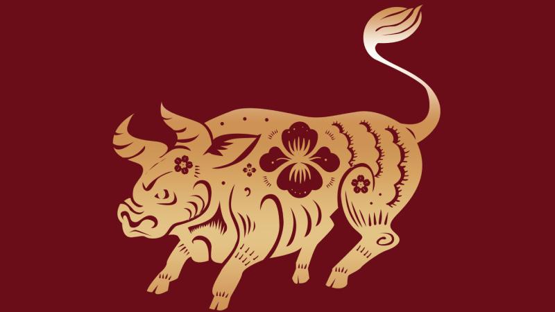 Tử vi tuổi Sửu