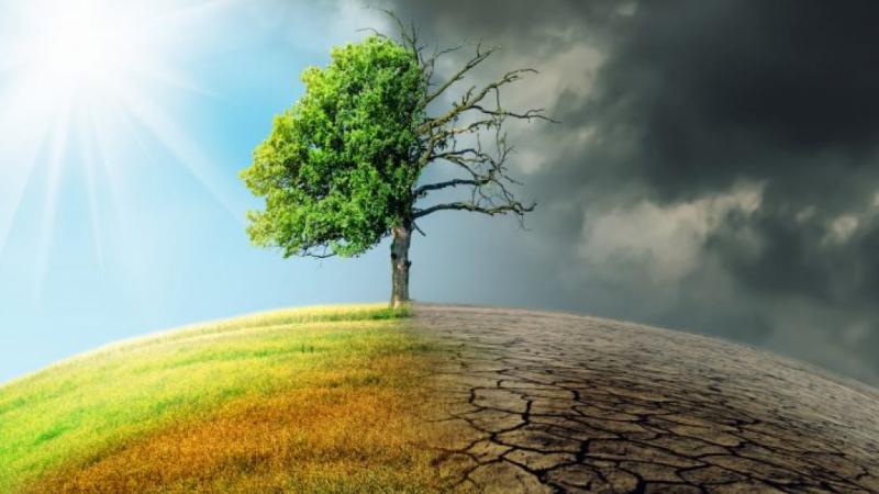 Biến động vận khí trước và sau Tết Nguyên Đán