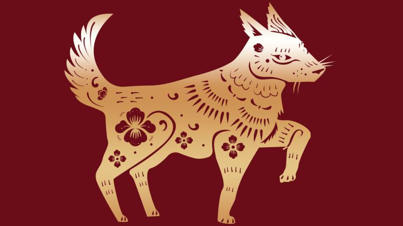 Tử vi tuổi Tuất