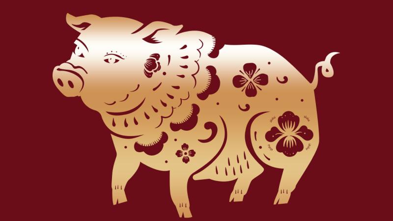 Tử vi tuổi Hợi