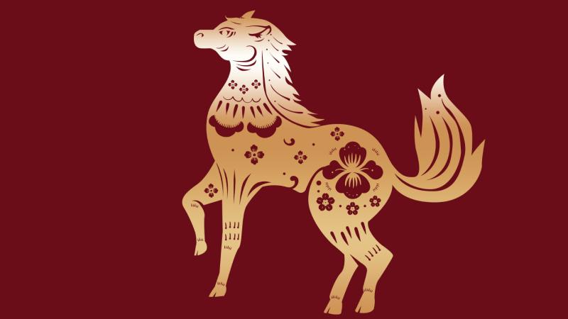 Tử vi tuổi Ngọ