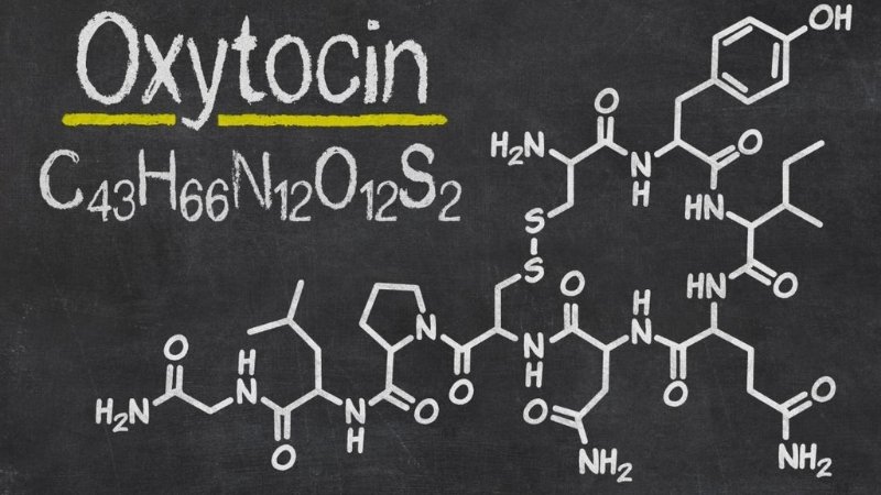 Oxytocin giúp giảm căng thẳng, tăng sự tin tưởng và gắn kết sâu sắc giữa các cặp đôi