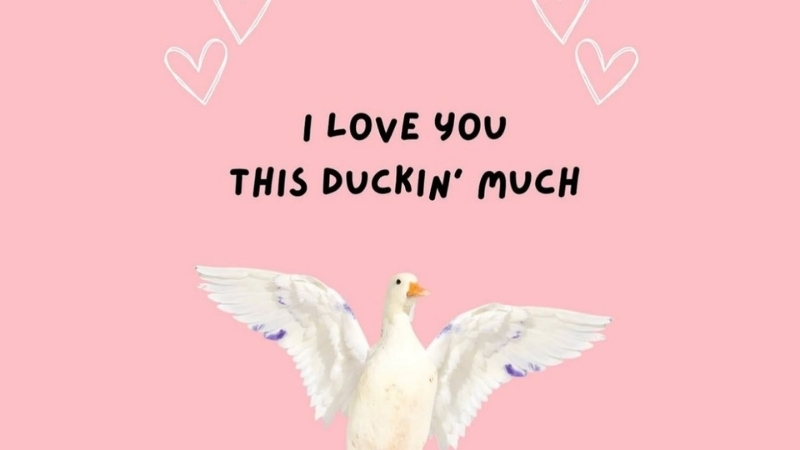 Ảnh chế Valentine hài hước 12