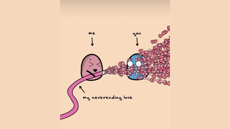 Hình ảnh Valentine độc lạ cho các cặp đôi 6