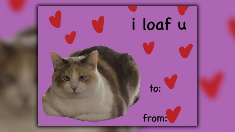 Ảnh chế Valentine hài hước 16