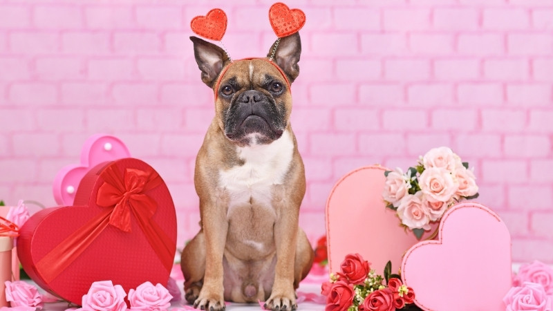 Chọn ảnh văn minh, rõ nét, tôn trọng quyền riêng tư và phù hợp với người nhận