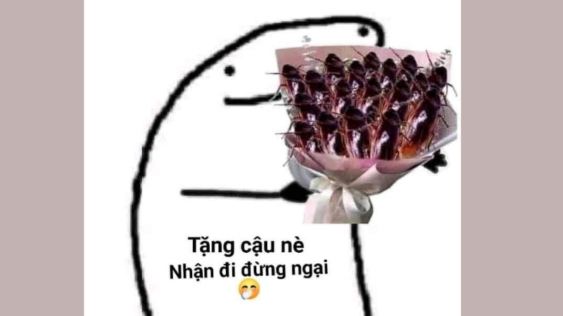 Hình ảnh vui nhộn về việc đòi quà ngày Valentine 10