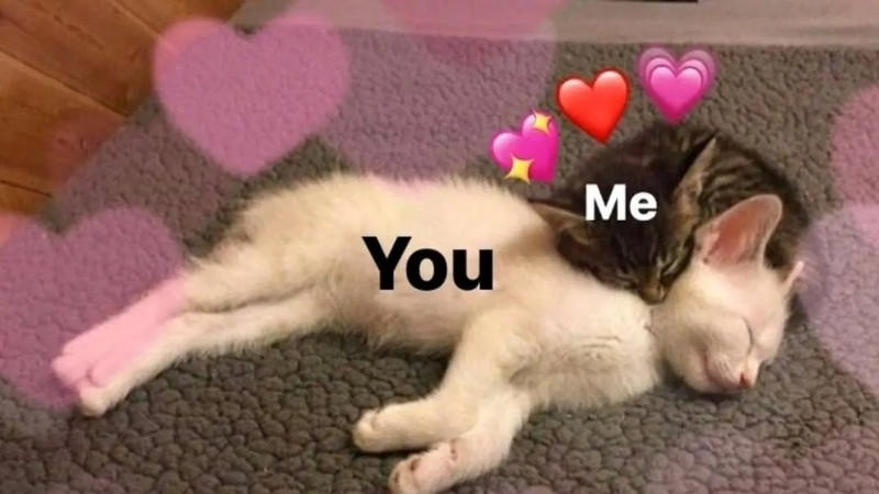 Hình ảnh Valentine độc lạ cho các cặp đôi 2