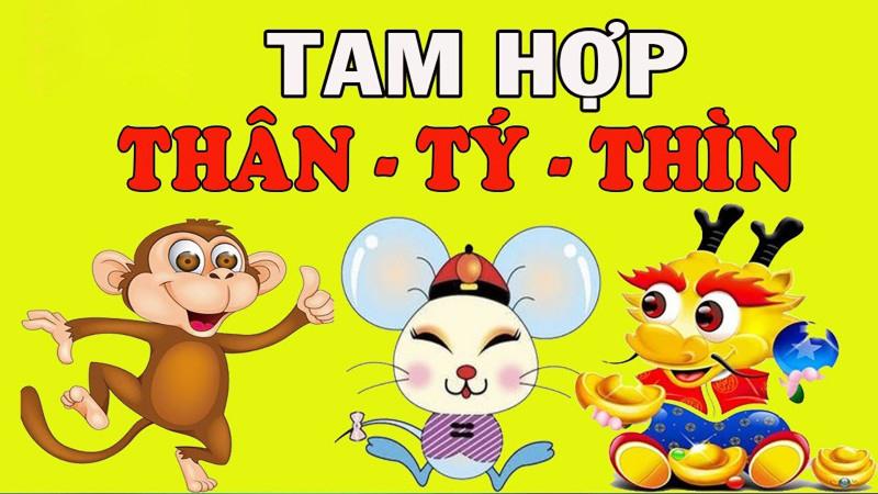 Nhóm tuổi Thân - Tý - Thìn
