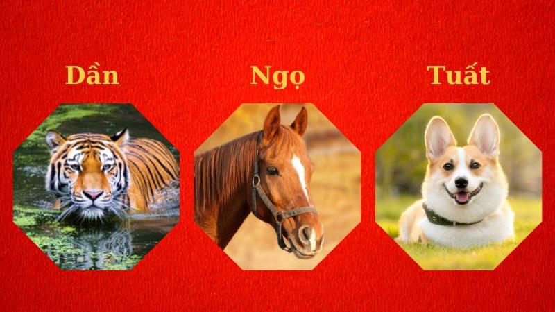 Nhóm tuổi Dần - Ngọ - Tuất