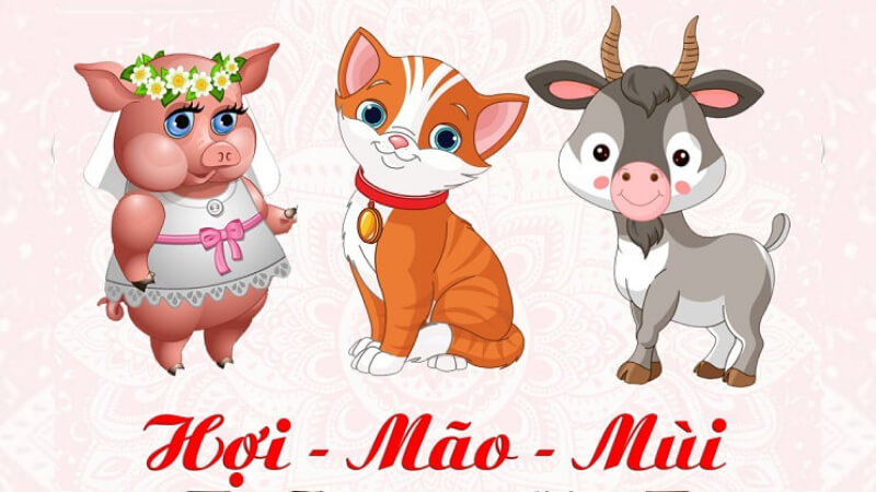 Nhóm tuổi Hợi - Mão - Mùi