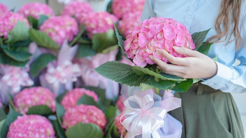 Hoa Cẩm Tú Cầu - Lời cảm ơn chân thành