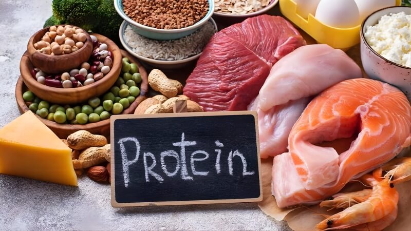 Tăng cường protein trong khẩu phần ăn