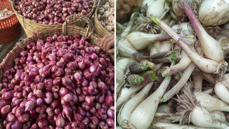 Chọn nguyên liệu đúng chuẩn Chọn nguyên liệu đúng chuẩn