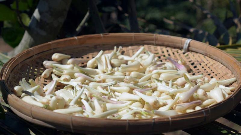 Sơ chế nguyên liệu chưa kỹ Sơ chế nguyên liệu chưa kỹ