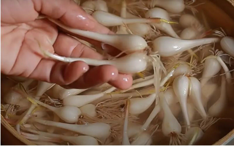 Giấm và muối rút mùi nồng, giảm hăng nhanh chóng