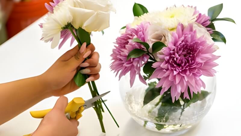 Xử lý phần gốc hoa bị nhớt