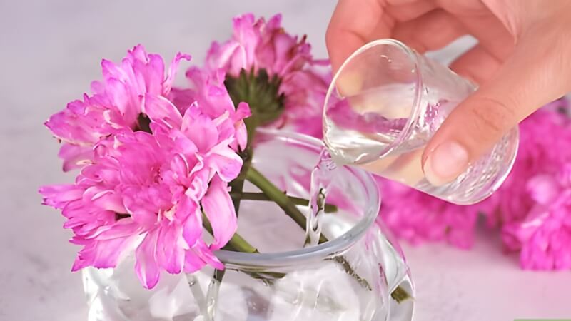 Pha nước mới theo tỷ lệ chuẩn