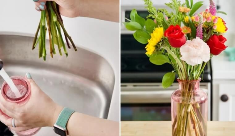 Cách xử lý nước cắm hoa bị thối mùi khó chịu & giữ hoa tươi lâu
