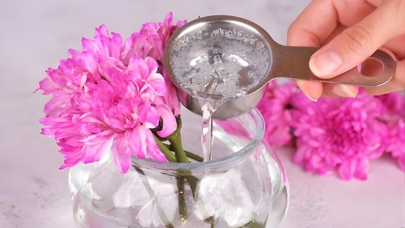 Thay nước định kỳ đúng cách