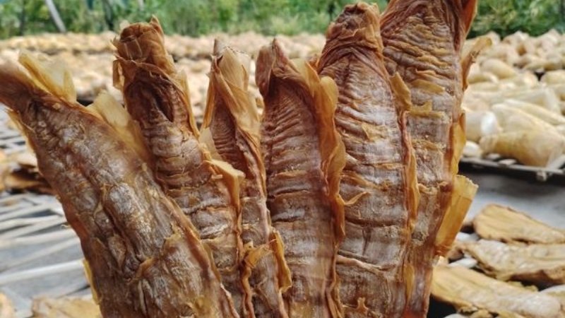 Ăn măng đắng có thể gây độc nếu không sơ chế kỹ để loại bỏ hoàn toàn Axit Xyanhydric