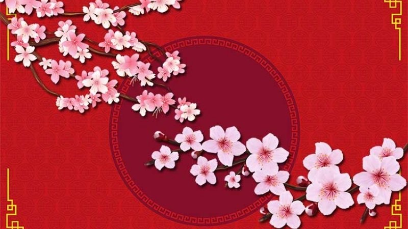 Hình nền đỏ ngày Tết hoa mai, hoa đào 4