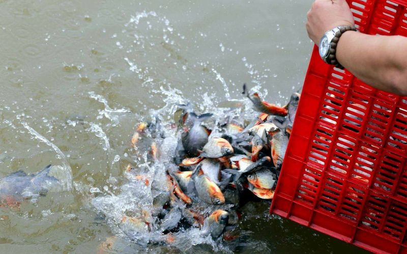 Phật giáo đề cao hồi hướng công đức, không đặt nặng việc đốt quần áo cho người âm