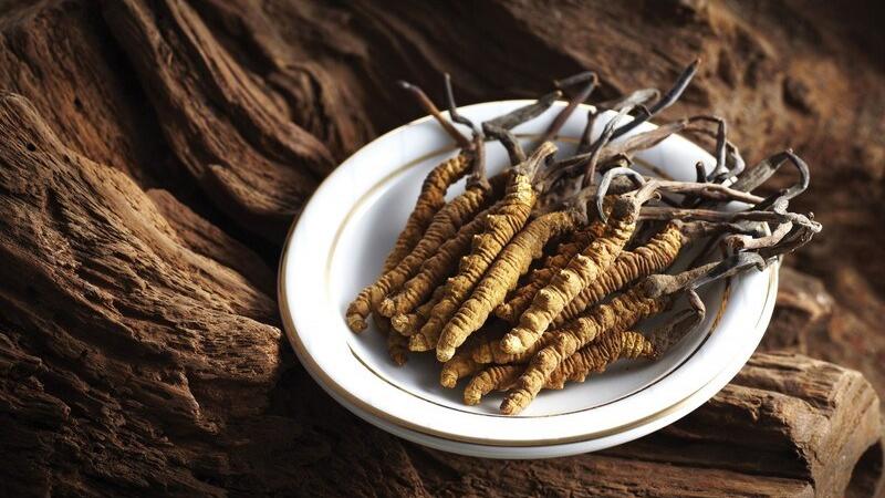 Đông trùng hạ thảo Đông trùng hạ thảo