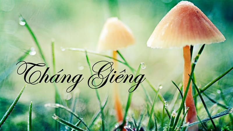 Tháng 2 2026 âm lịch là tháng mấy?