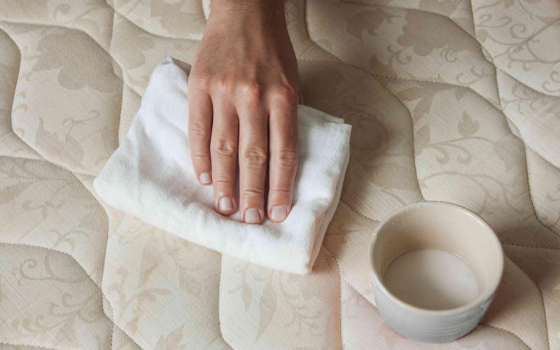 Bước 2: Xử lý các vết bẩn cục bộ (Spot Cleaning)