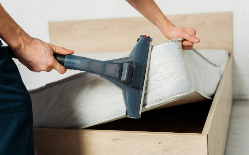 Tần suất vệ sinh định kỳ