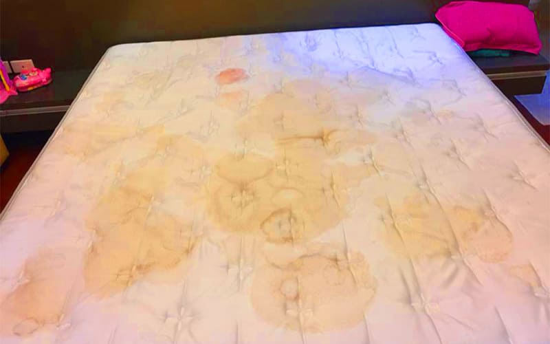 Vết máu khô hoặc vết ố vàng lâu ngày