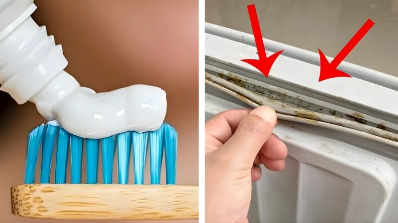 Làm sạch gioăng cao su tủ lạnh bằng kem đánh răng Làm sạch gioăng cao su tủ lạnh bằng kem đánh răng