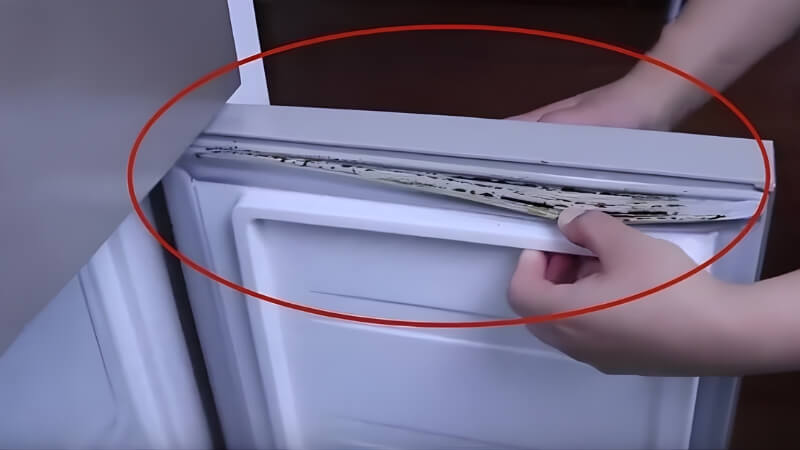 Vì sao gioăng cao su tủ lạnh dễ bị mốc? Vì sao gioăng cao su tủ lạnh dễ bị mốc?