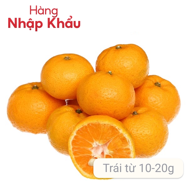 Quýt mini nội địa Trung