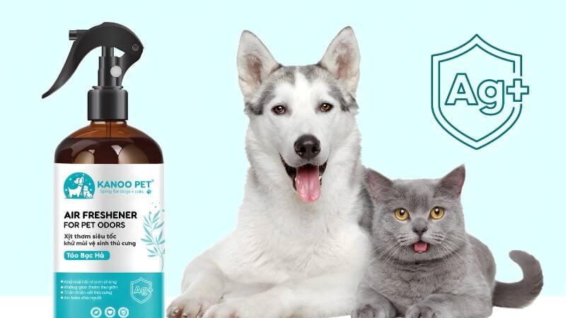 Xịt khuẩn sinh học công nghệ Nano Bạc