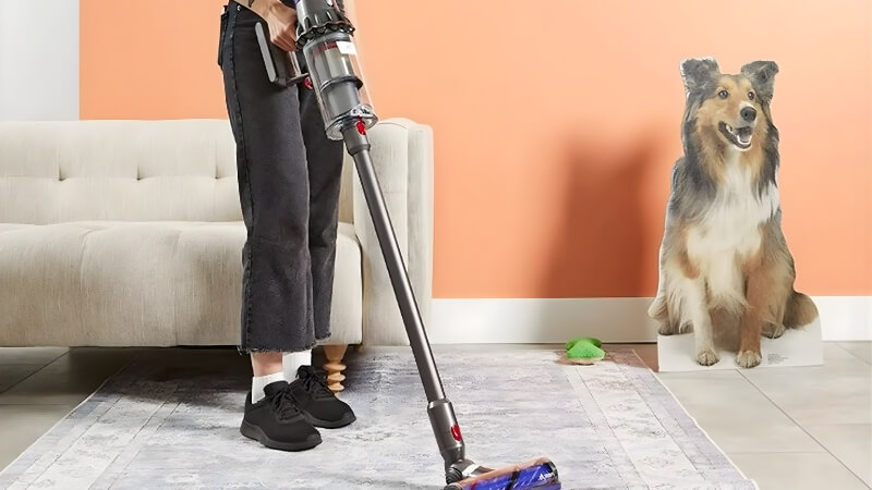 Máy hút bụi cầm tay chuyên dụng cho lông thú