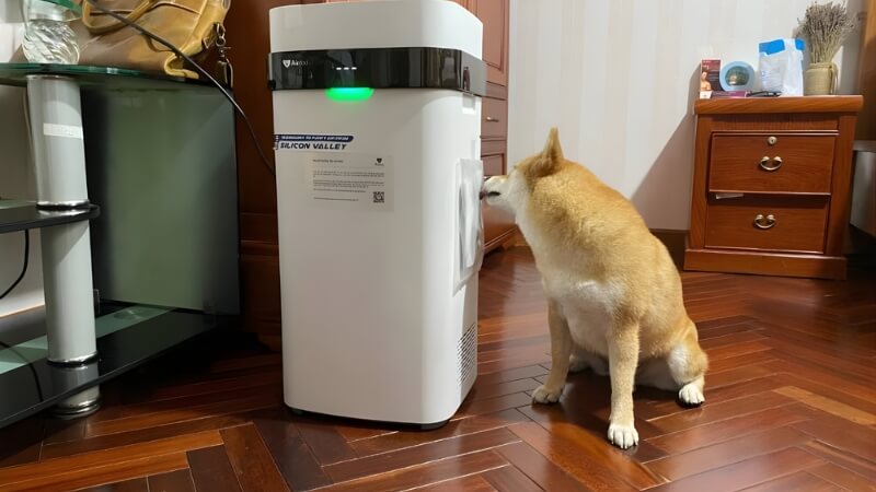 Các câu hỏi thường gặp