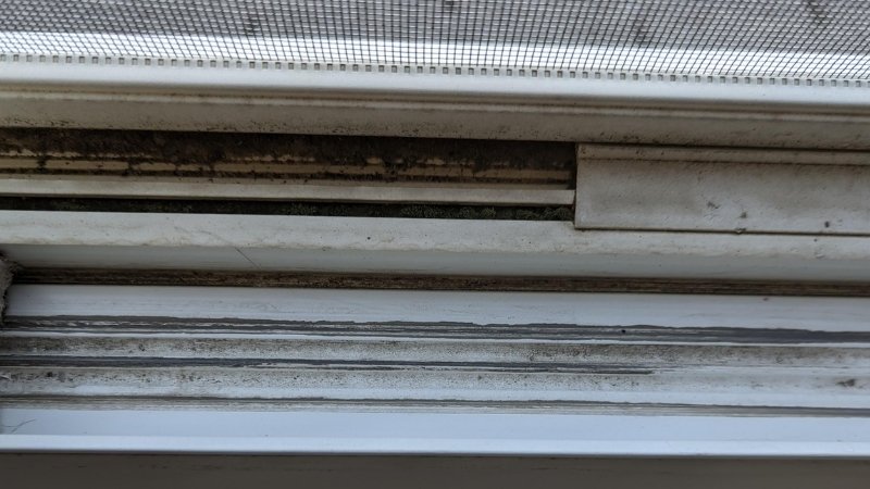 Đốm đen lấm tấm trên khe cửa