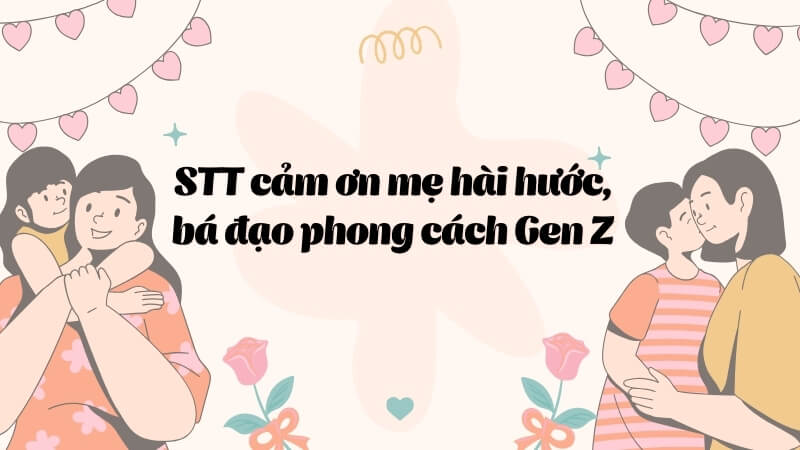 STT cảm ơn mẹ hài hước, bá đạo phong cách Gen Z STT cảm ơn mẹ hài hước, bá đạo phong cách Gen Z