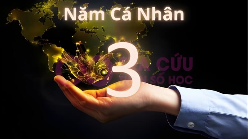 Những điều Cần làm và Cần tránh trong năm số 3