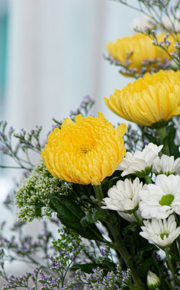 Các loại hoa cúng Rằm tháng Giêng được ưa chuộng