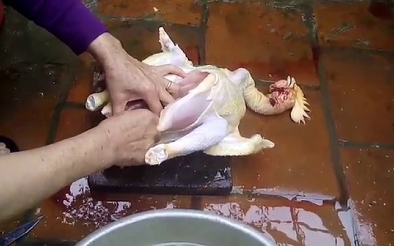 Kiêng sát sinh Kiêng sát sinh