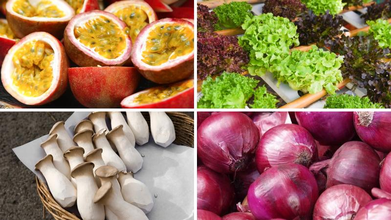 Nguyên liệu làm món salad chay sốt chanh leo Nguyên liệu làm món salad chay sốt chanh leo