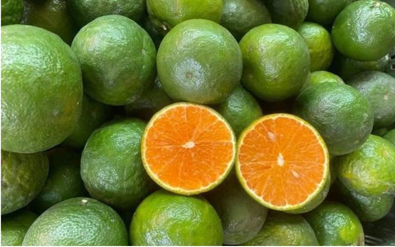 Cam đại diện cho sự khởi sắc, cầu chúc công việc và cuộc sống thuận lợi