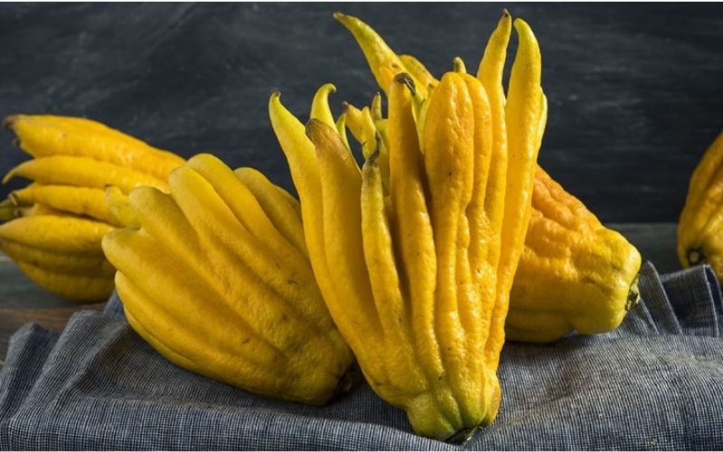 Quả phật thủ tượng trưng cho sự bảo hộ tâm linh và phúc lành từ bề trên