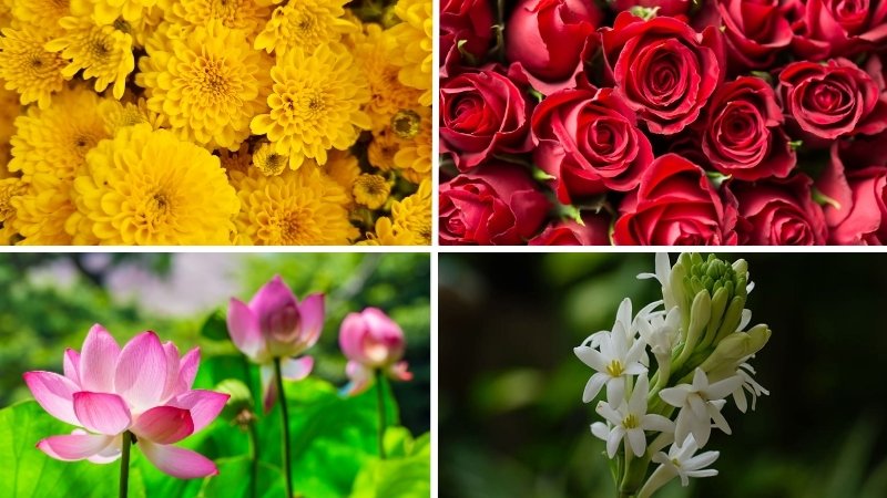 Bạn có thể thay hoa ly bằng hoa cúc vàng, hoa hồng, hoa sen hoặc hoa huệ để cầu bình an