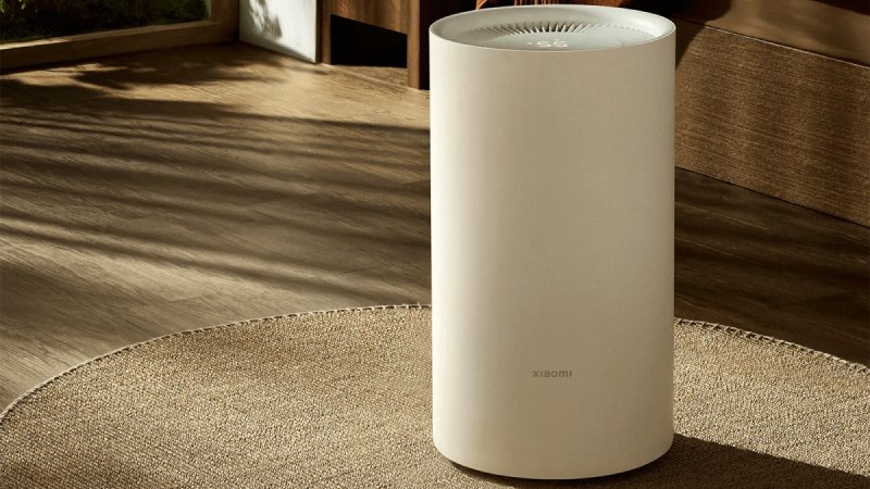 Cải thiện độ ẩm trong nhà